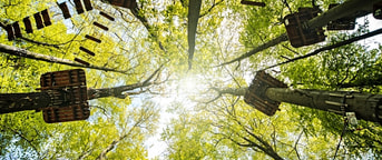 Sportanalge Gründenmoos Seilpark Blick in die Bäume Vue dans les arbres parc d'aventure Gründenmoos complexe sports et loisirs